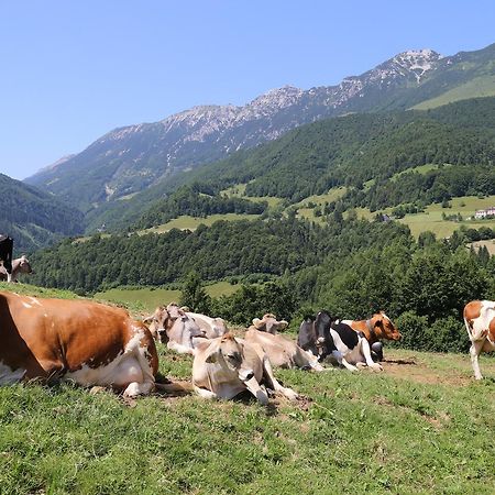 Albergo Alpino Da Tullio Avio Exteriér fotografie