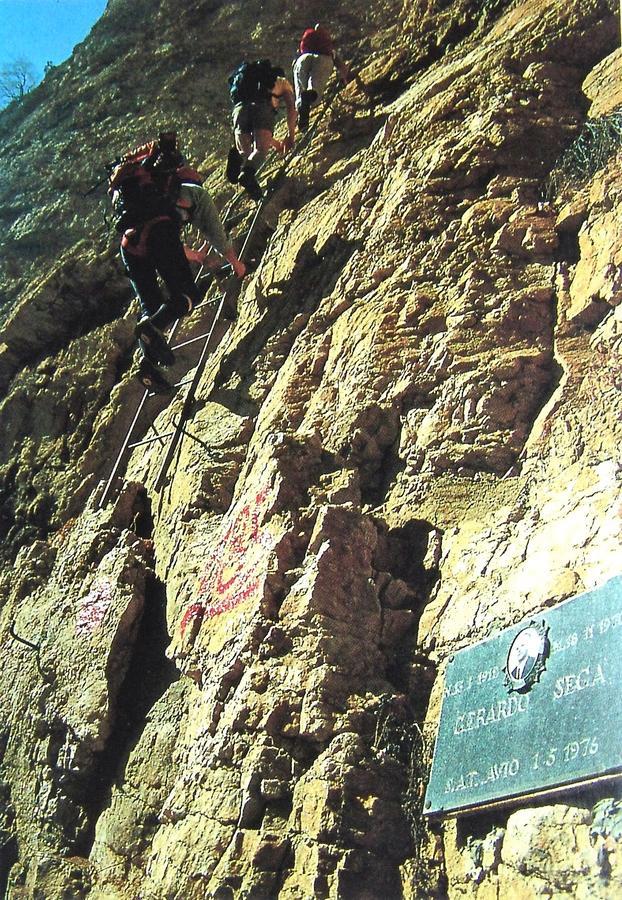 Albergo Alpino Da Tullio Avio Exteriér fotografie